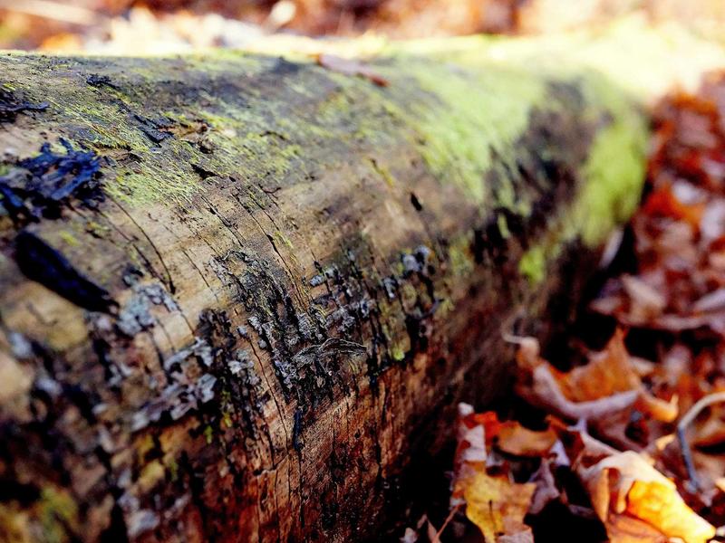 sudoku zen mode screenshot 6